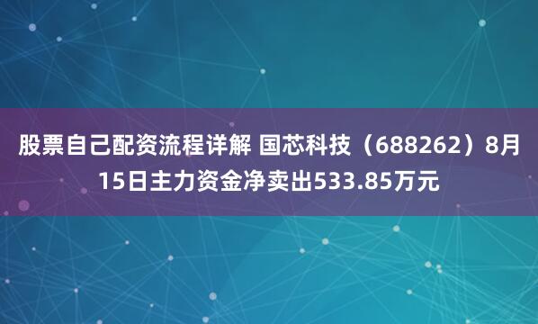 股票自己配资流程详解 国芯科技（688262）8月15日主力资金净卖出533.85万元