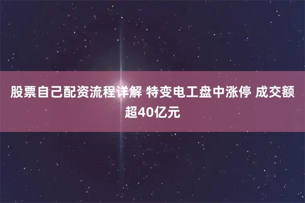 股票自己配资流程详解 特变电工盘中涨停 成交额超40亿元