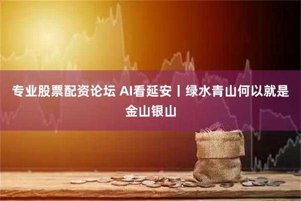 专业股票配资论坛 AI看延安丨绿水青山何以就是金山银山
